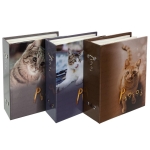 24347-Фотоальбом 100 фото PP-46100S Кошки-3 (13617)-1