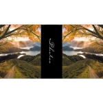 46225-Фотоальбом BB-10x15/200M ASSORT-DRZEWO-1