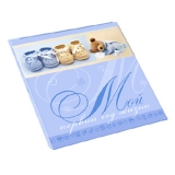 21387-Фотоальбом PB11 / B017 Мой первый год жизни 11 магн. л 30*31-1