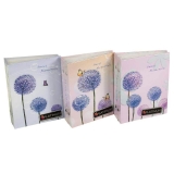 23409-Фотоальбом 100 фото PP-46100S Одуванчики (12525)-1