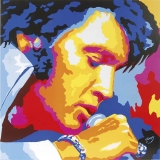 12196-Декор на холсте FP1083 Pop Iconic - Elvis Presley 85x85x3cm-1