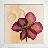 13715-Декор в раме FP0892 Pressed Flower 40x40см-1