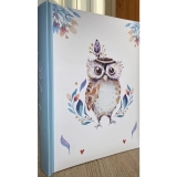 45254-Фотоальбом BB-10x15/300M (2-up) ASSORT-AWA-1