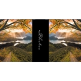 46225-Фотоальбом BB-10x15/200M ASSORT-DRZEWO-1