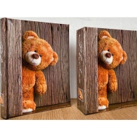 42507-Фотоальбом SA-60S TED-1