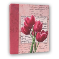 16635-Фотоальбом AV46200 CARTA 10X15-3