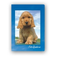 19633-Фотоальбом CA4640STPP FOTOQUADERNO 10X15/20-2