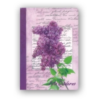 19633-Фотоальбом CA4640STPP FOTOQUADERNO 10X15/20-3