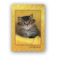 19633-Фотоальбом CA4640STPP FOTOQUADERNO 10X15/20-5