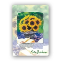 19633-Фотоальбом CA4640STPP FOTOQUADERNO 10X15/20-6