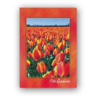 19633-Фотоальбом CA4640STPP FOTOQUADERNO 10X15/20-11