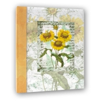 40364-Фотоальбом AV46100 CARTA 10X15/100-3