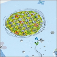 40382-Фотоальбом 15431N TEDDY DIARIO ESTERO 30X31-2