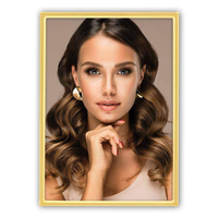 42910-Фоторамка VK469G SILVIA GOLD 10*15-1