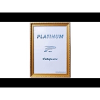 23049-Фоторамка JW98-1 золотой 10*15-4