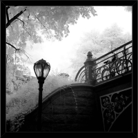 13714-Декор на холсте FP0875 black & white Bridge 70x70см-1