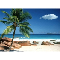 14679-Декор на холсте FP04053 Praslin beach Seychelles 50x70см-1