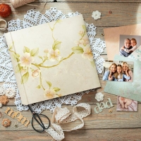 44536-Фотоальбом VE2420B LOUVRE B 24X24/20-2