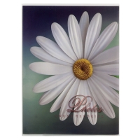 24161-Фотоальбом 36 фото PP-4636R Цветы-3