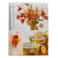 24161-Фотоальбом 36 фото PP-4636R Цветы-5