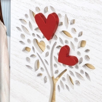 44752-Фоторамка YN346V LUCIA V 10X15-2