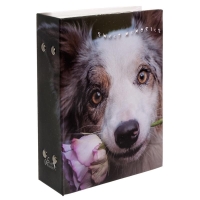 24190-Фотоальбом 100 фото PP-46100S Собаки-4 (13715)-2