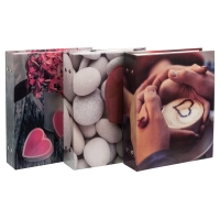 24235-Фотоальбом 200 фото PP-46200S Любовь-3 (23609)-1