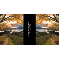 46225-Фотоальбом BB-10x15/200M ASSORT-DRZEWO-1