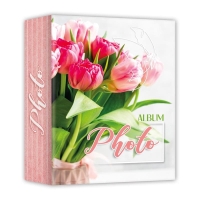 46043-Фотоальбом AV57100 CARTA 12x18-13x19/100-3