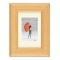 17941-Фоторамка PI05029 Harmony Oak 30*40 см паспарту 21*29,7 см -1