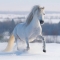 14179-Декор на стекле FP02822 Galloping white Horse 40x40см-1